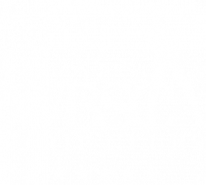 logo-wbsc